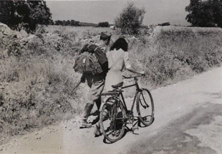 Війна та революція в Європі. 1905-1956: чи могло ХХ ст. бути іншим?