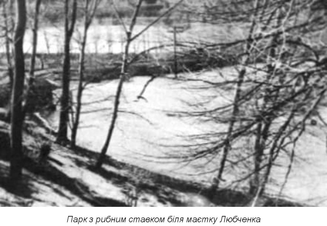 З історії радянського повсякдення другої половини 1930-х років: межигірські дачі партійних функціонерів за німецькими даними 1943 р.