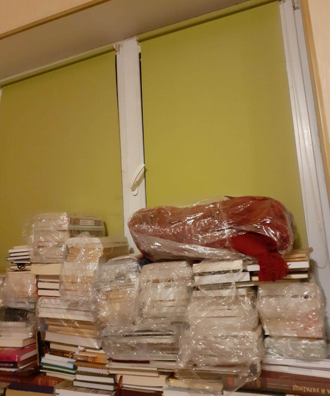 The window in Anastasiia Pankova’s apartment